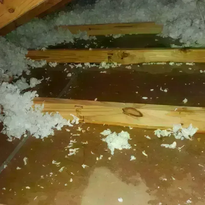 Attic Water Damage in Atlanta, GA